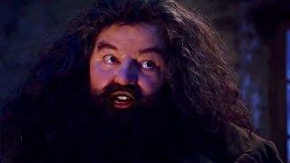 If Hagrid Had Stopped At The Wrong House First