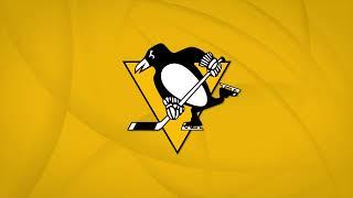 Pittsburgh Penguins. One-hour Loop Screensaver.