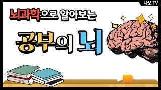 공부에 최적화된 뇌 만들기ㅣ 뇌과학, 암기법, 뇌건강