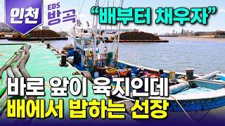 [인천광역시] "시간 싸움이야 여기는" 바로 옆에 포구 두고도 바다에 배 대놓고 방금 잡아온 생선으로 든든하게 차려먹는 통통배｜북성포구｜국내여행｜#한국기행 #방방곡곡