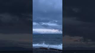 A Serene Dawn Walk Along Vancouver Island’s Seashore