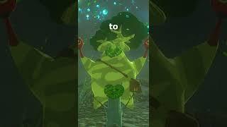 How to Find Hestu in 1 Minute and Upgrade Your Inventory Space Legend of Zelda, Tears of the Kingdom