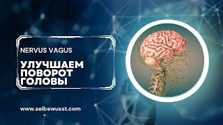 Блуждаюший нерв. Упражнение Розенберга на верхнюю порцию трапеции.