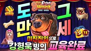 [삐약이슬롯] 더도그하우스다이스쇼: The Doghouse Dice Show미친 연진이로 한방역전!#슬롯생방송 #온라인슬롯 #프라그마틱슬롯 #슬롯실시간