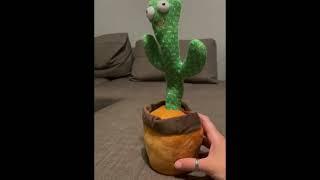 Pbooo Dancing Talking Cactus Mimicking Toy,Talking Repeat Singing Sunny Cactus Toy 120 Pcs Songs