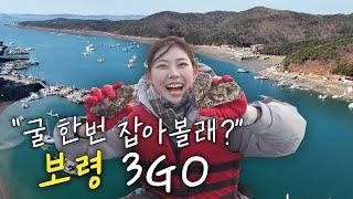 [3GO여행] 이때를 기다렸다! 겨울 별미 천북굴 | 보령 3GO 여행