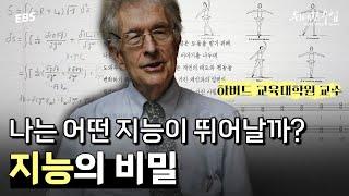 IQ로 인간의 지능을 판단하면 안 되는 이유 세계 최고의 교육학자가 말하는 ‘지능의 비밀’ | 하워드 가드너 명강의 몰아보기 1편 #위대한수업