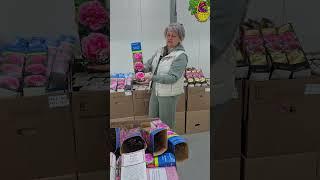 ТОП-3 сорта роз для северного сада! Холод им не страшен.