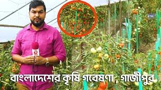 বাংলাদেশের কৃষি গবেষণা , গাজীপুর || রূপসী বাংলা || Ruposhi Bangla || Episode-80