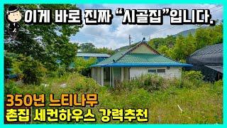 바닷가 시골 촌집 매매 소식. 바닷가 5분 거리. 350년 느티나무가 함께하는 행운의 집. 전라남도 보성군 조성면 우천리 촌집 시골집 주택 전원주택 보성부동산