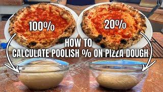 In Depth Understanding Poolish % For Pizza Dough