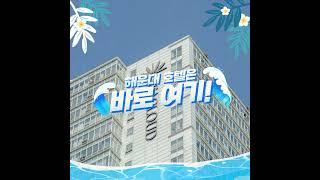 #shorts 여름엔 역시 부산 해운대