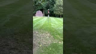 Lawn care stripes