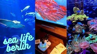 SEA LIFE Berlin 🪸  I 4K Video  #travel #berlintravelguide #sealifeberlin