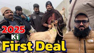 2025 ki first deal | makhi china desi Bakre | chaki Dumbe | Lahore Bakra Mandi shapur kanjra