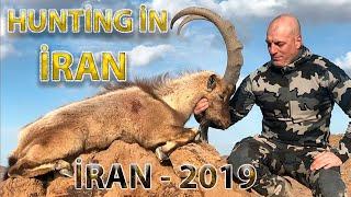 Hunting in Iran 2019