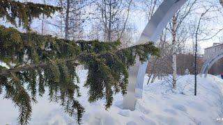 Russia #nord Жизнь Северян. Ямало-Ненецкий АО Лабытнанги. Крайний Север России. Гуляем. март #2024