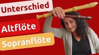 Unterschied Altblockflöte - Sopranblockflöte I Das musst du wissen! #blockflöte #recorder #flöte