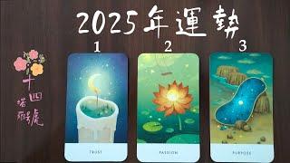 塔羅占卜: 2025年一整年的運勢狀況如何？重點訊息提點(事業/財運/桃花運)