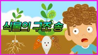 식물의 구조를 더 자세히 알아볼까 | 식물의 구조송 | 과학송