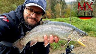 Fette Saiblinge auf Wobbler und Spoons/ Forellen fischen mit Kunstködern/ Trout Area