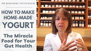 How to Make Home-made Yogurt - The Miracle Food for Your Gut Health