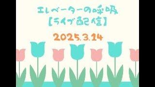 【2025年3月14日】エレベーターの呼吸ライブ配信【第92回】