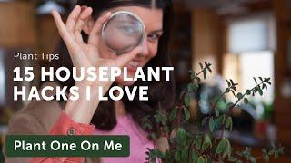 15 Favorite HOUSEPLANT HACKS — Ep. 259