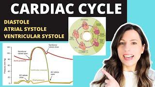 A-level- CARDIAC CYCLE. Diastole, atrial systole, ventricular systoles +the pressure +volume changes