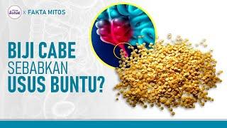 Benarkah Biji Cabe yang Termakan Bisa Picu Usus Buntu? | Hidup Sehat tvOne