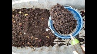 How to Harvest Worm Castings from a Simple Worm Compost Bin