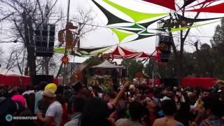 Tristan @ Groove Attack Psilosiva Purim 2017