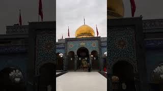 Ya zainab e kubra س ya sani e zahra س #yazainab #sham#youtubeshorts #shortvideo