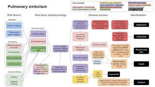 Pulmonary embolism (mechanism of disease)