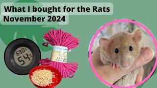 What I bought for my PET Rats | November 24