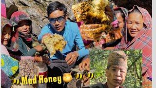 Hunting Nepal’s Mad Honey   That Makes You Hallucinate  || Honey Hunters ||