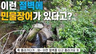 깍아지를 듯한 절벽아래 폭포..이런곳에 설마 민물장어가?