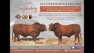 2022 Soutpansberg Bonsmara Auction