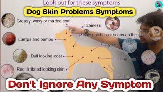 dog skin disease symptoms || hair loss, pimples on skin, itchiness etc. || symptoms & treatment  