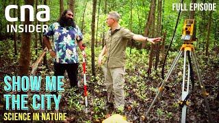 Science In Nature: Spotting Heron Birds & Understanding Mangroves | Show Me The City | Full Episode