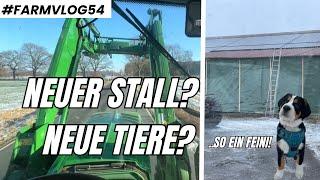 Neue Tiere auf dem Hof? Der erste Farmvlog 2024! #54