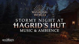 Stormy Night at Hagrid's Hut | Harry Potter Music & Ambience, Autumn Rainstorms