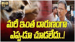 Doctors  Reacts On Dogs Attack At Srikakulam : కుక్కల దాడిపై స్పందించిన డాక్టర్లు..! | BIGTV Telugu