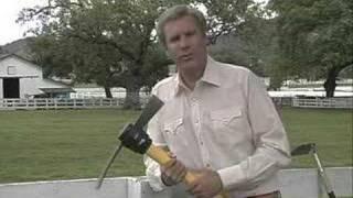 Will Ferrell as Bush