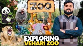 Exploring Vehari Zoo  | A Day At Vehari Zoo  | Had Fun  At Vehari Chirya Ghar 