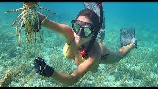 Spearfishing & lobstering in Grand Bahama!