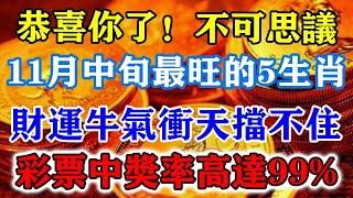 恭喜你了！不可思議！11月中旬最旺的5生肖，財運牛氣沖天擋不住！彩票中獎率高達99%！#運勢 #風水 #佛教 #生肖 #发财 #横财 【佛之緣】