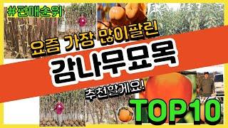 감나무묘목 추천 판매순위 Top10 || 가격 평점 후기 비교