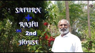 Effects of Saturn + Rahu posited in the  2nd house / bhava.