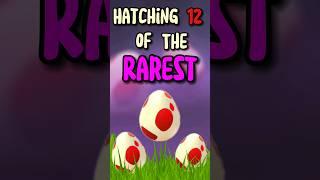 Hatching 12 Of The Rarest Eggs You Can Find in Pokémon Go!!